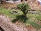 Ein erster Strauch in der Landschaft.
