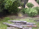 Auch kommen Büschel mit altem Gras hinzu.