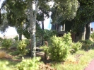 Zweite Fotoreihe vom 22.05.2011.