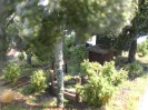 Zweite Fotoreihe vom 22.05.2011.