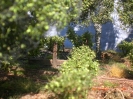 Zweite Fotoreihe vom 22.05.2011.