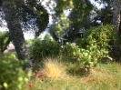 Zweite Fotoreihe vom 22.05.2011.