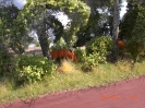 Zweite Fotoreihe vom 22.05.2011.