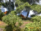 Zweite Fotoreihe vom 22.05.2011.