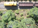 Zweite Fotoreihe vom 22.05.2011.